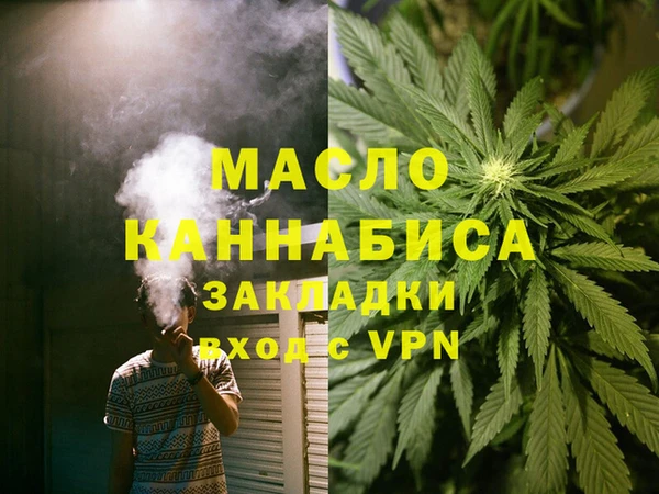 дмт Алексин