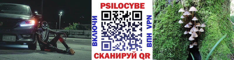 Галлюциногенные грибы Psilocybine cubensis  Черноголовка 